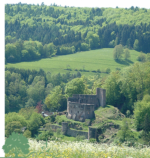 Sonderangebot Hotel Odenwald