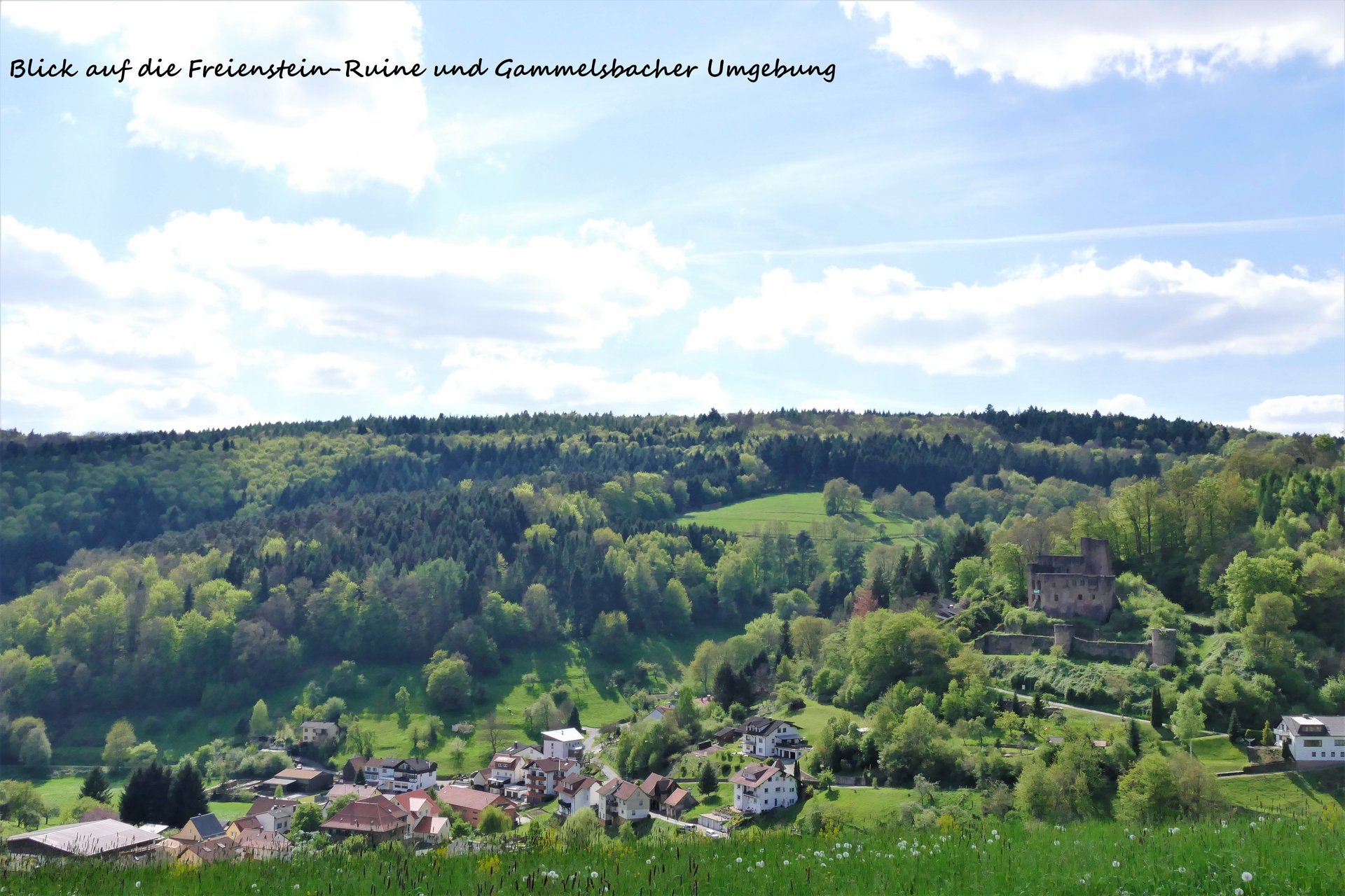 Blick auf Burgruine Freienstein