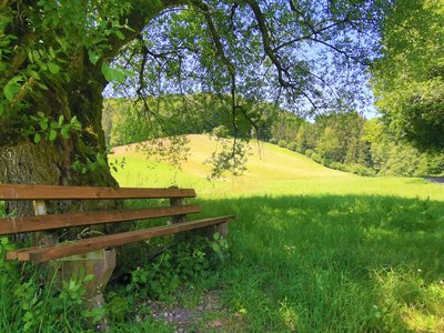 Wandern im Odenwald