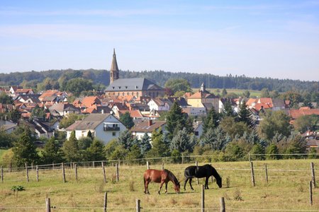 Oberzent - Beerfelden