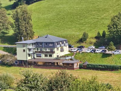 Grüner Baum - Hotel, Wellness, Restaurant